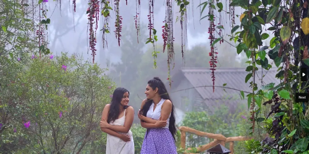 Scenic view of Dew Drops Farm Resort in Munnar with lush greenery, cottages, and guests enjoying cycling and bird watching